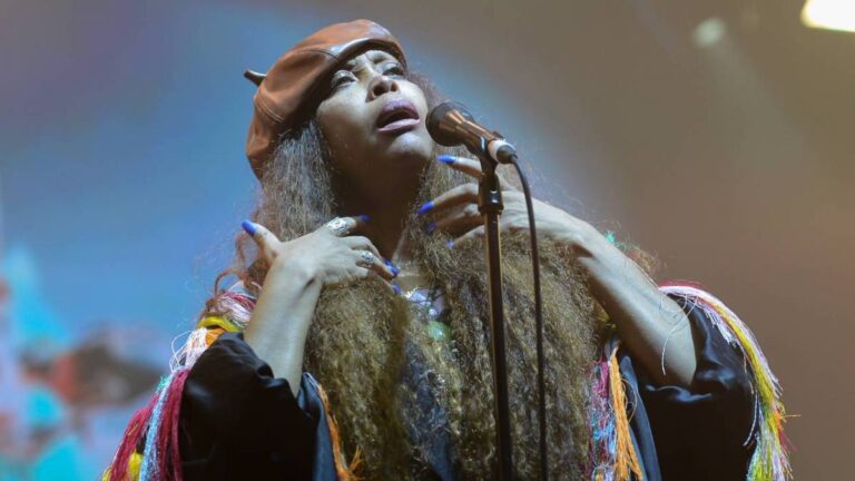 Erykah Badu termine de chanter « Window Seat » pendant que les fans se battent dans les gradins