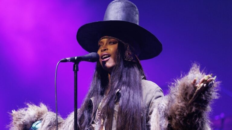 Erykah Badu clignote le butin &lsquo;Strawberry&rsquo; dans le récapitulatif à mi-parcours de la tournée Unfollow Me