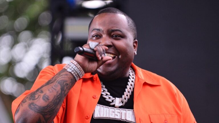 Sean Kingston arrêté pendant un concert pour fraude et vol