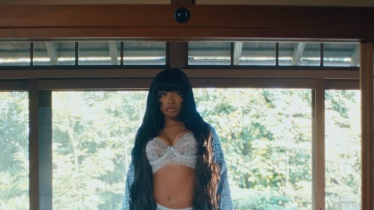 Megan Thee Stallion dévoile le visuel du tube viral « Mamushi »