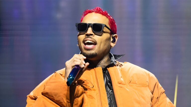 Chris Brown poursuit Warner Bros. pour 500 millions de dollars suite à des allégations de viol « diffamatoire » dans un documentaire