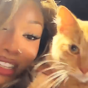 Megan Thee Stallion adopte enfin le chat errant qui lui a rendu visite au studio d'enregistrement