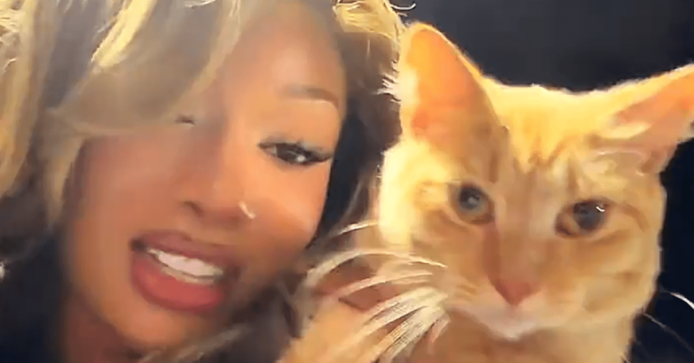 Megan Thee Stallion adopte enfin le chat errant qui lui a rendu visite au studio d'enregistrement